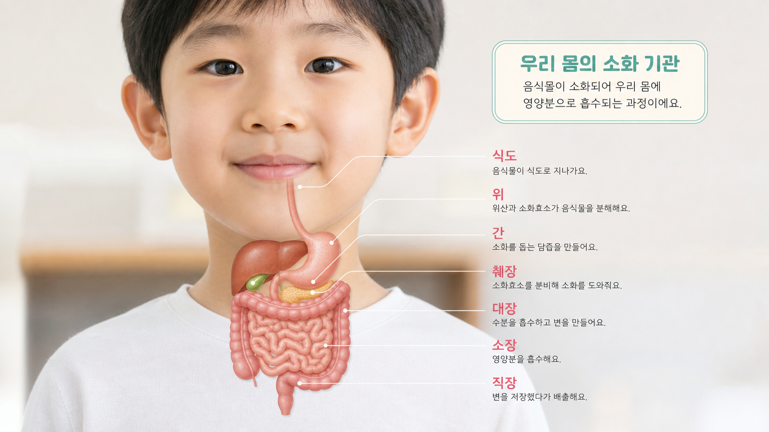 어린이 락토핏 선택 가이드 우리 아이 장 건강 지키기
